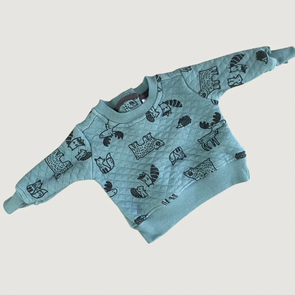 Koala Kids Baby 3M‎ Quilted Matching Set Forest Animals Sage Green Pants Sweater